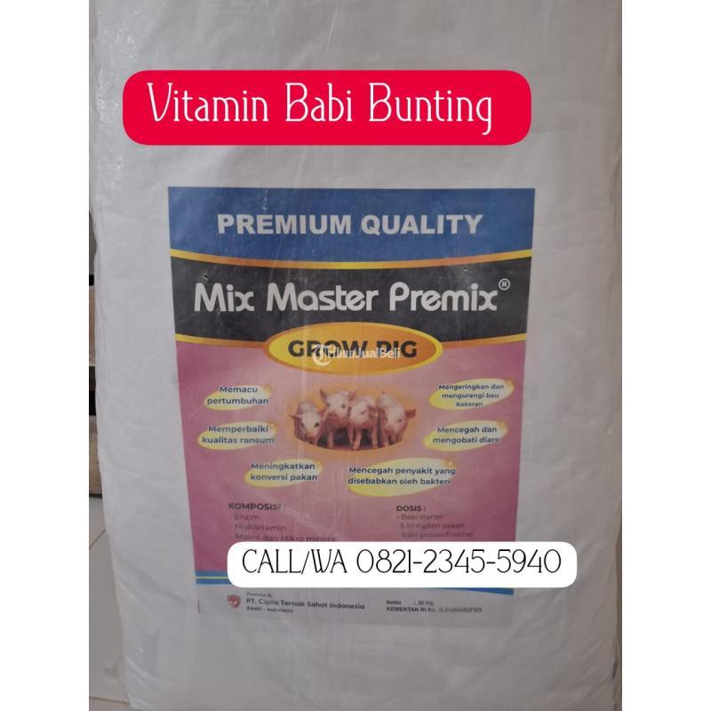 Vitamin Untuk Induk Babi Menyusui - Kediri Kota Jawa Timur