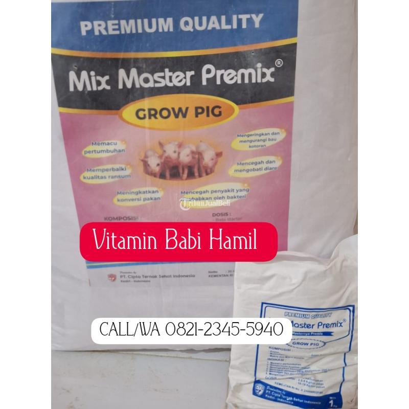 Vitamin Untuk Induk Babi Menyusui - Kediri Kota Jawa Timur