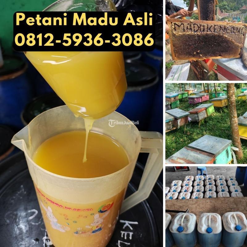  Supplier Madu Asli Harga Murah - Denpasar Bali 