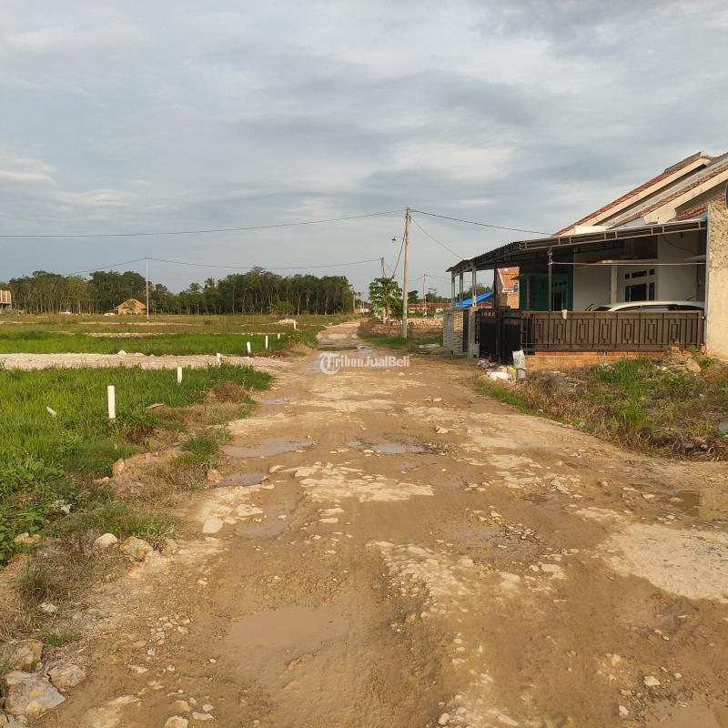 Dijual Rumah Siap Huni LT92 LB45 Harga Terjangkau Lokasi Strategis - Bandar Lampung