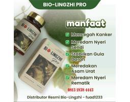 Bio Lingzhi Pro Original Obat Herbal Mengatasi Keluhan  Gejala Penyakit Ginjal - Sanggau Kalimantan Barat 