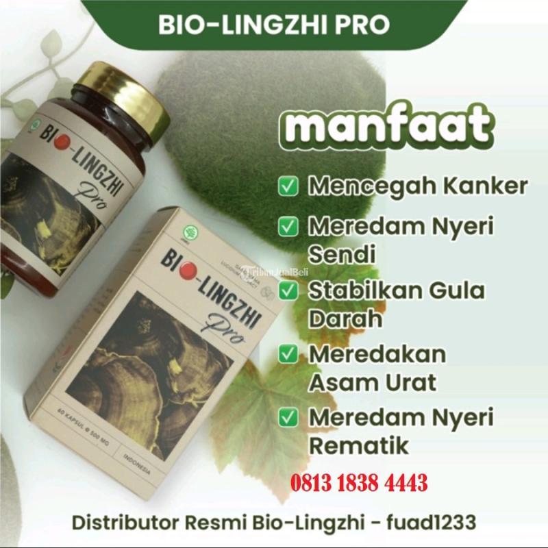 Bio Lingzhi Pro Original Obat Herbal Mengatasi Keluhan  Gejala Penyakit Ginjal - Sanggau Kalimantan Barat 