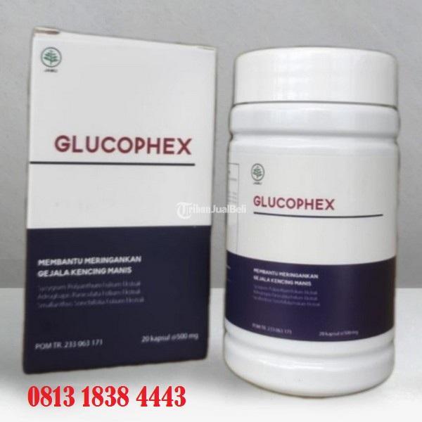  Glucophex Asli Obat Herbal untuk Diabetes - Kulon Progo Yogyakarta 
