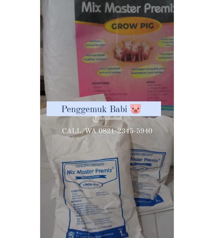 Vitamin Babi Bunting Harga Murah - Kediri Jawa Timur 