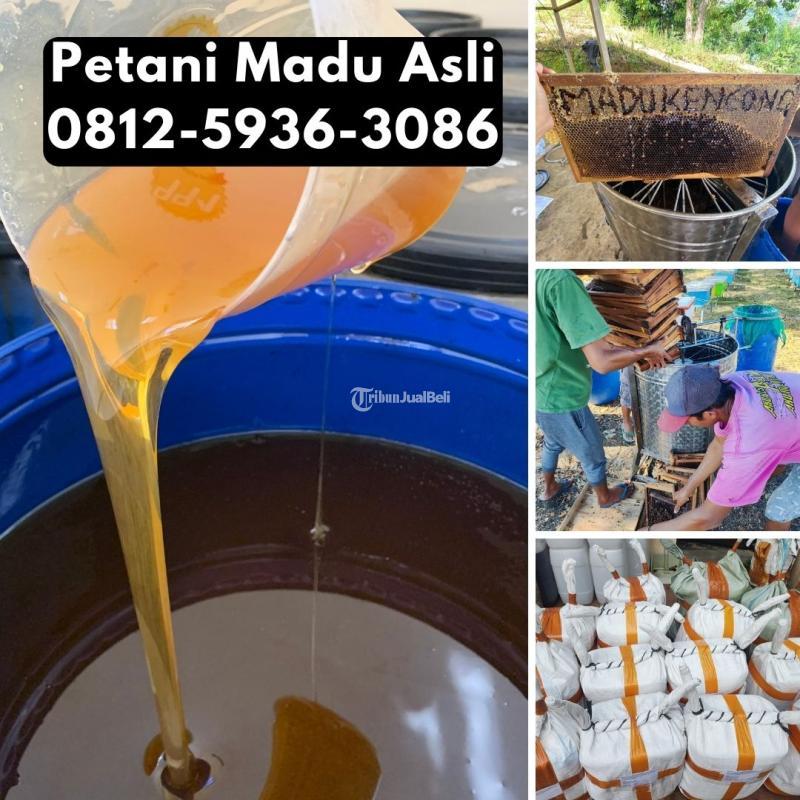 Termurah Grosir Madu Asli Terdekat - Depok Jawa Barat