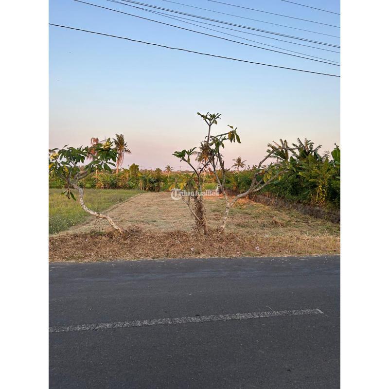 Dijual Tanah 458 m2 Area Munggu Dekat Pantai Seseh, Pererenan - Badung Bali