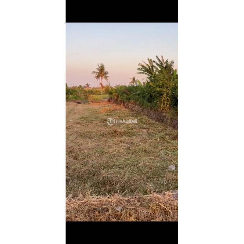 Dijual Tanah 458 m2 Area Munggu Dekat Pantai Seseh, Pererenan - Badung Bali