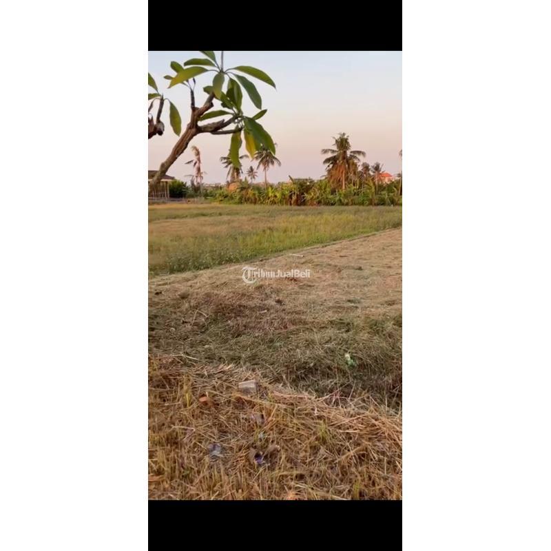 Dijual Tanah 458 m2 Area Munggu Dekat Pantai Seseh, Pererenan - Badung Bali