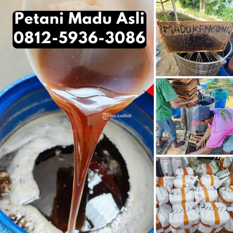 Supplier Madu Asli Terdekat Langsung Petani - Jakarta Utara