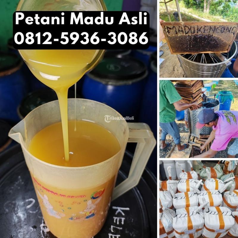 Termurah Grosir Madu Asli Terdekat Asli Petani - Jakarta Selatan