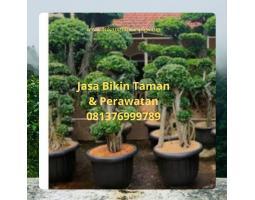 Jasa Pembuatan dan Perawatan Taman di Sekayu - Musi Banyuasin Sumatera Selatan