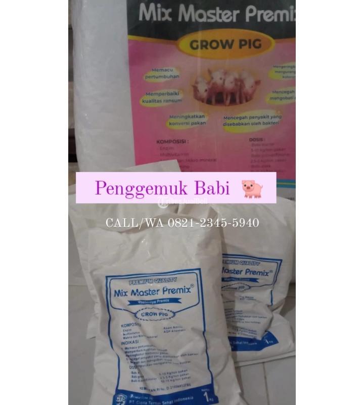 Vitamin Untuk Induk Babi Menyusui - Kediri Kota Jawa Timur