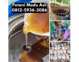 Supplier Madu Asli Terdekat Harga Murah - Bandar Lampung 