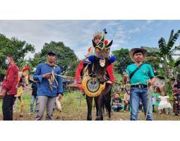 Kuda Renggong Suryadarma - Bandung Kota Jawa Barat