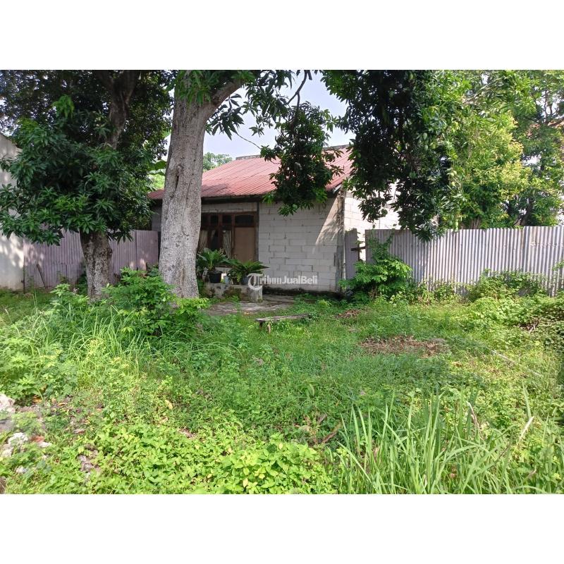 Jual Tanah Tengah Kota Luas 825m2 SHM Jalan Jeruk Lampersari - Semarang Jawa Tengah