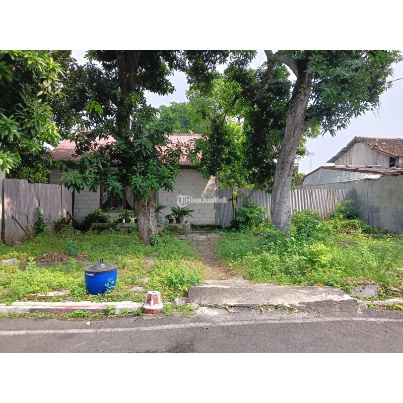 Jual Tanah Tengah Kota Luas 825m2 SHM Jalan Jeruk Lampersari - Semarang Jawa Tengah