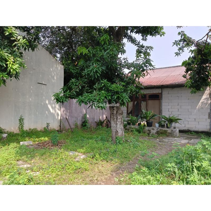 Jual Tanah Tengah Kota Luas 825m2 SHM Jalan Jeruk Lampersari - Semarang Jawa Tengah