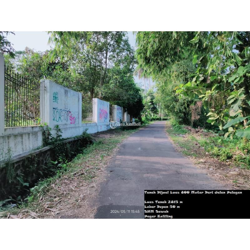 Dijual Tanah Luas 2815m2 SHM, 800 Meter Dari Jalan Palagan - Sleman Yogyakarta