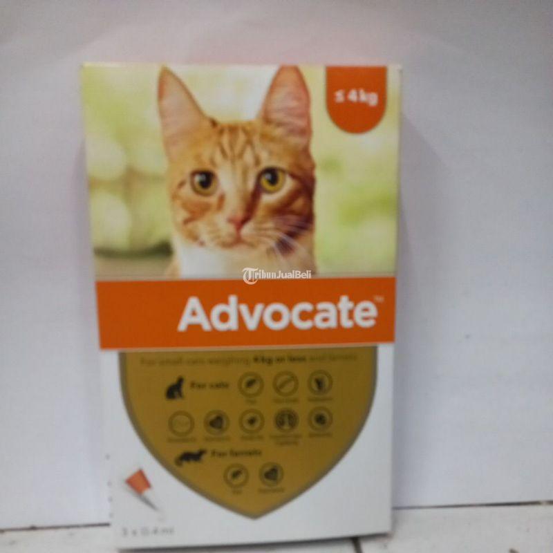 Advocate 4 Kg Harga Terjangkau - Makassar Sulawesi Selatan 