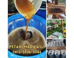 Supplier Madu Asli Terdekat - Padang Sumatera Barat 