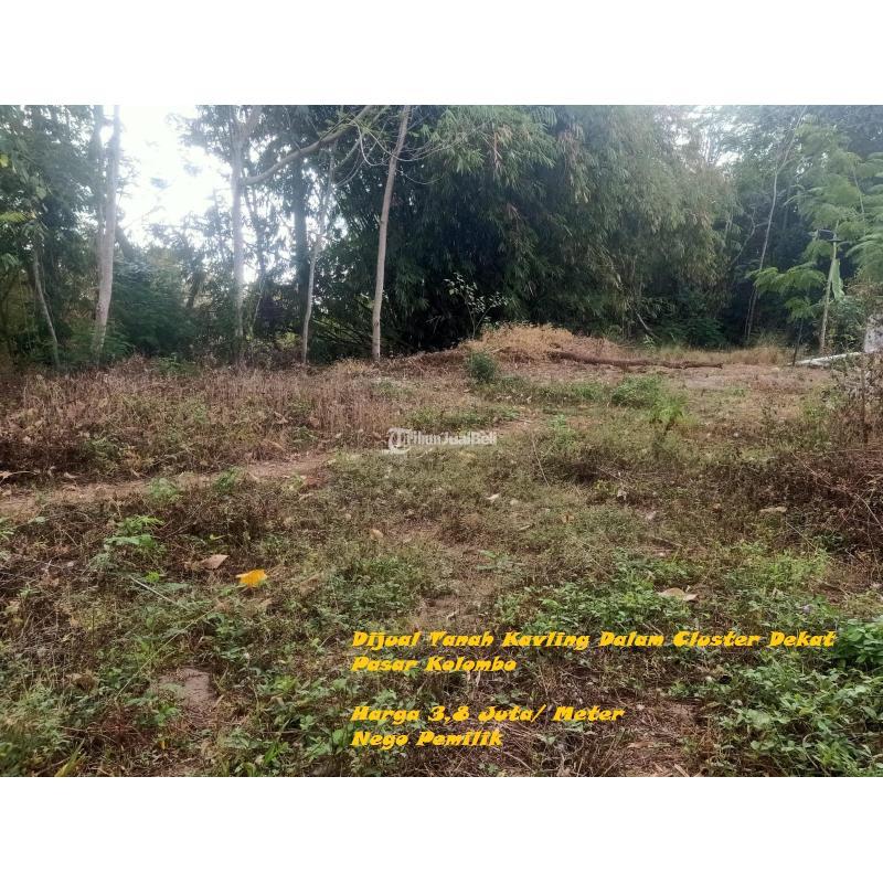 Dijual Tanah Kavling Luas 453m2 SHM Dalam Cluster Dekat Pasar Kolombo - Sleman Yogyakarta