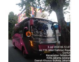 Bus Medium Pariwisata Dijual Canter 2013 Warna Pink Menarik - Magelang Jawa Tengah 