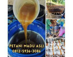Supplier Madu Asli Terdekat Langsung Petani - Bengkulu