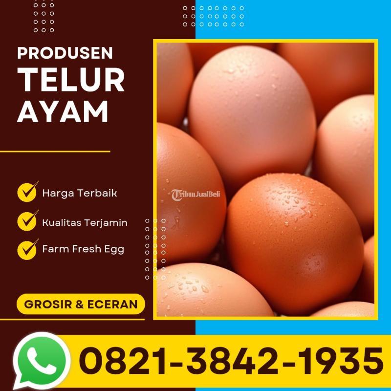 Telur Ayam Broiler Siap Kirim Ke Tambaksari - Surabaya Jawa Timur