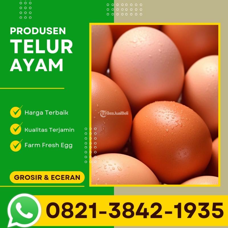 Telur Ayam Lokal Siap Kirim Ke Karang Poh - Surabaya Jawa Timur