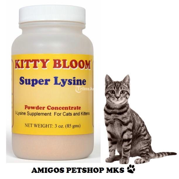 Vitamin Kucing Kitty Bloom VIT54 - Amigos Petshop - Makassar Sulawesi Selatan