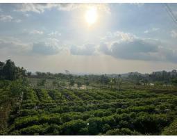 Dijual Villa 350 Juta Kawasan Wisata Kemuning - Karanganyar Jawa Tengah 