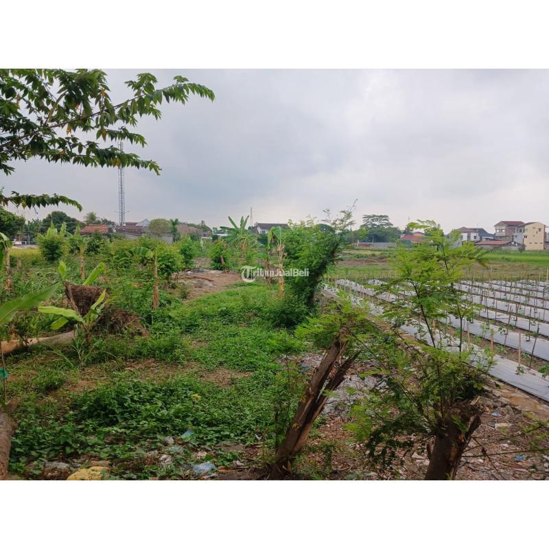 Dijual Tanah SHM P Dekat Kampus STPN LT881 m2 Legalitas SHM - Sleman Yogyakarta