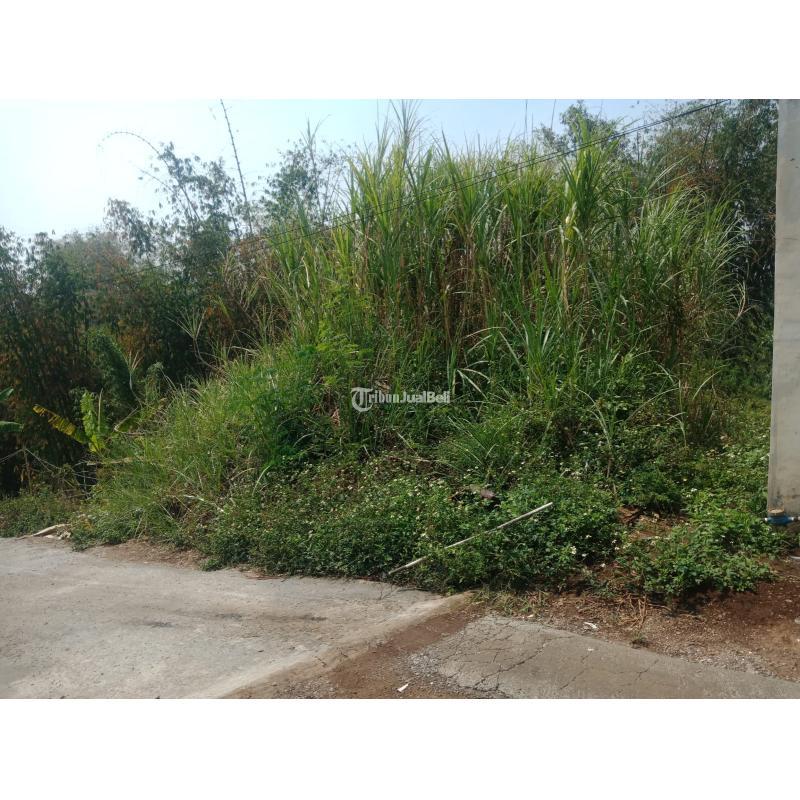 Dijual Tanah Kavling Luas 100m2 SHM Murah Siap Bangun Di Cimahi Jalan Kamarung - Bandung Barat Jawa Barat