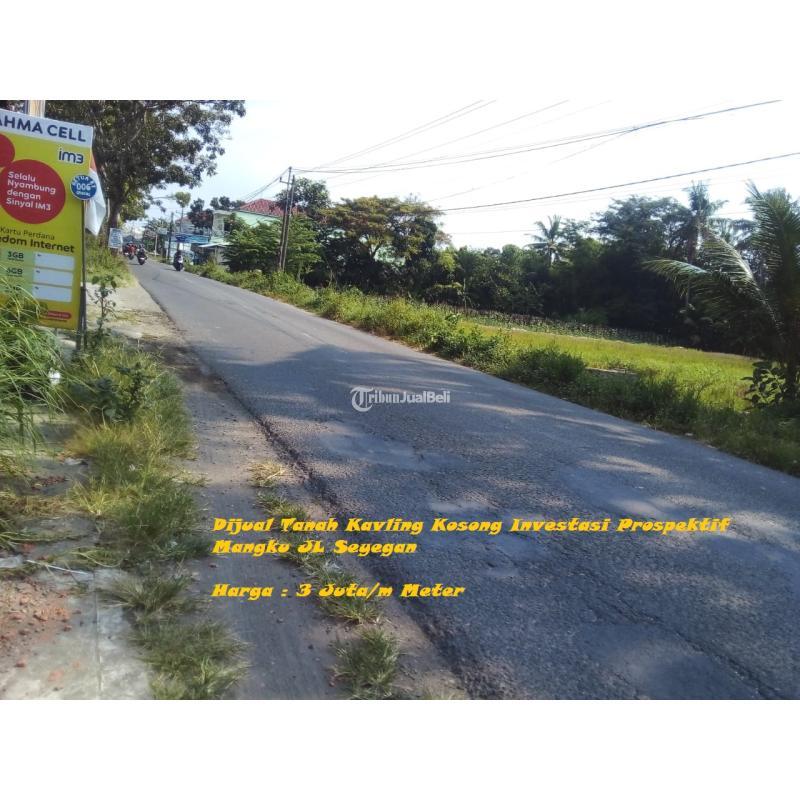 Dijual Tanah Kavling Kosong Investasi Prospektif Mangku Jl Seyegan - Sleman Yogyakarta 