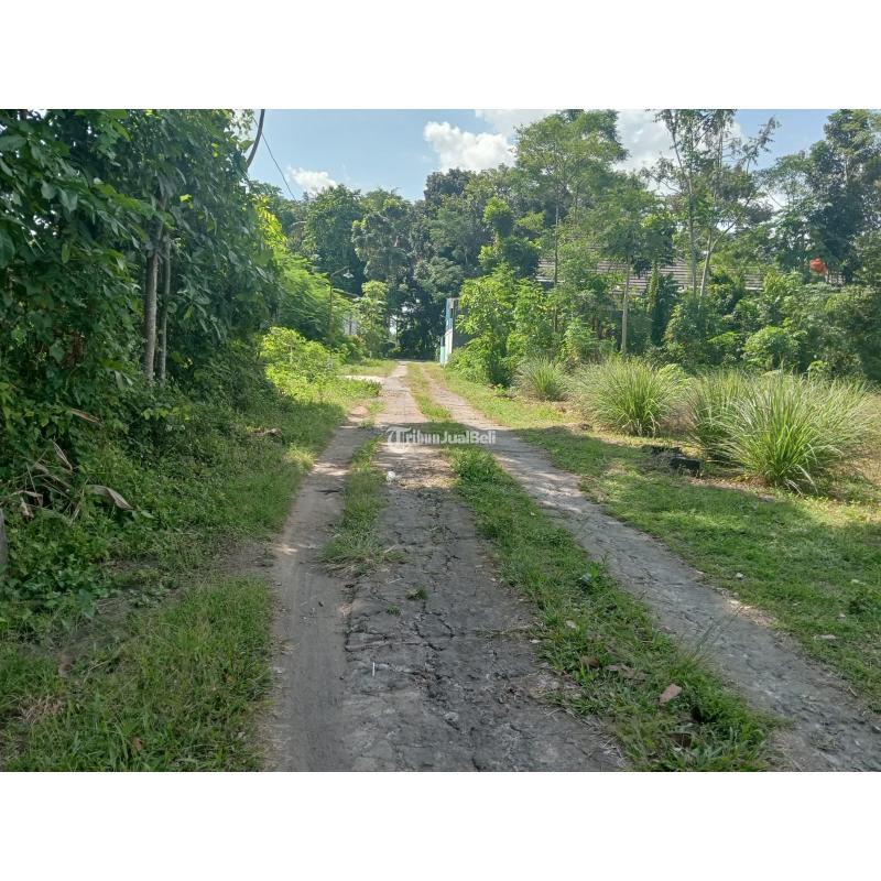 Dijual Tanah Pekarangan Luas 241m2 Dekat LPMP Kalasan Timur Kantor Kelurahan - Sleman Yogyakarta