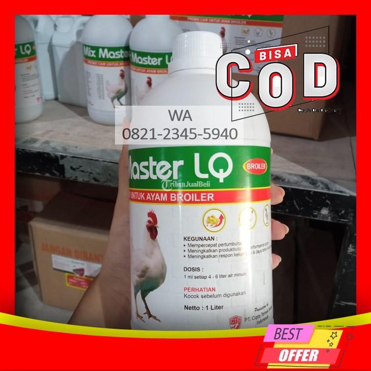 Premix Ayam Pedaging Terbaik Lajing Bangkalan - Kediri Jawa Timur