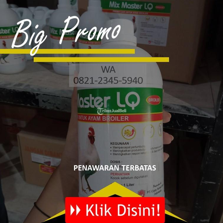 Premix Untuk Ayam Pedaging Mangkon Bangkalan - Kediri Kota Jawa Timur
