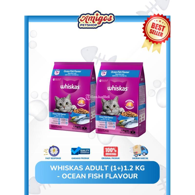Whiskas Adult 1 Plus 1,2 kg - Makassar Sulawesi Selatan
