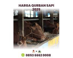Hewan Qurban 2025 Saat ini di Batam Sapi Batam Rahayu - Batam Kepulauan Riau