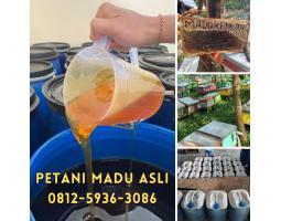 Supplier Madu Asli Harga Murah - Medan Sumatera Utara 