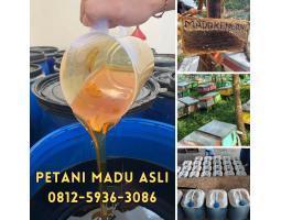  Supplier Madu Asli Terdekat Harga Murah - Pemalang Jawa Tengah 