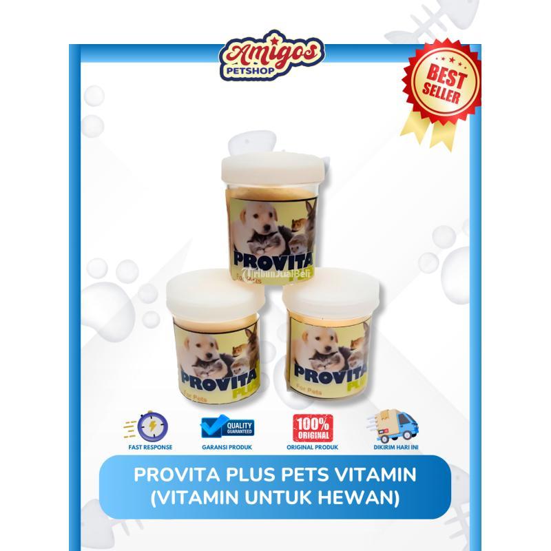 Provita Plus Pets Vitamin untuk Hewan - Makassar Sulawesi Selatan
