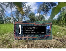  Dijual Tanah Ubud LT550 m2 Legalitas SHM - Gianyar Bali