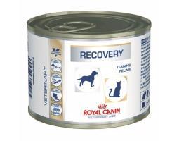 Royal Canin Recovery Amigos Petshop - Makassar Sulawesi Selatan 