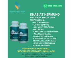 Hermuno Obat Parasit Herbal Asli Original - Jakarta Utara