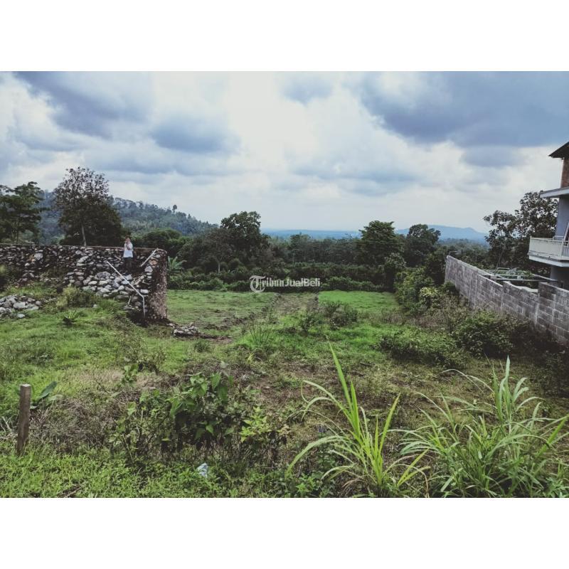 Jual Tanah Kavling Luas 112 m2 Murah Legalitas Shm Dijual Mulai 80 Jutaan Nego - Malang Jawa Timur