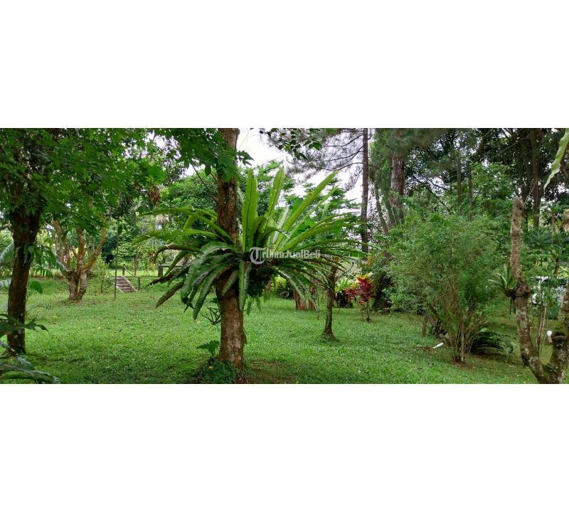 Jual Villa dan Kebun Prestisius Bekas Siap Huni With View Gunung di Cijeruk - Bogor Jawa Barat