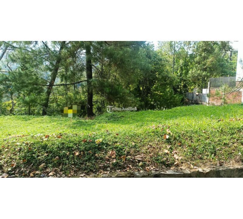 Jual Tanah Kavling Luas 458 m2 Dago Resort Dago Pakar Bandung Utara Dkt Cigadung Itb Cisitu - Bandung Jawa Barat