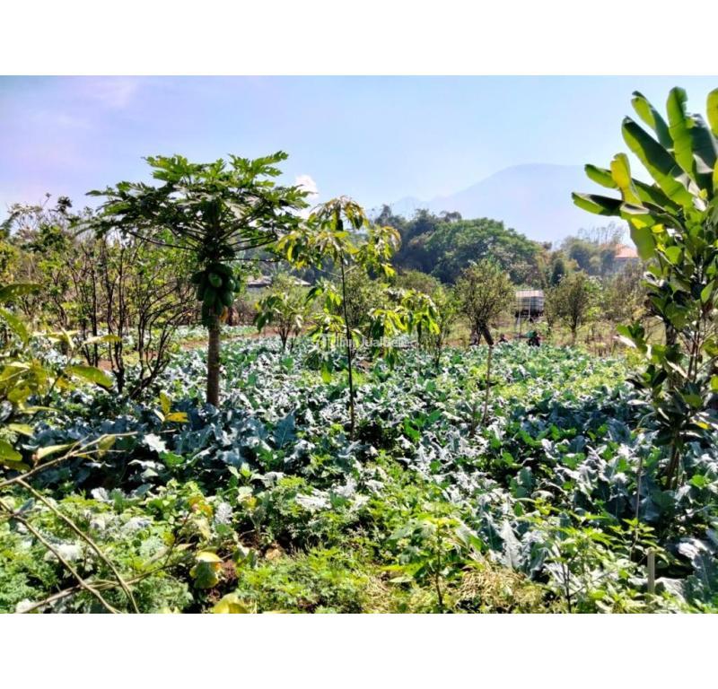 Dijual Villa LT2880 LB148 3KT 3KM Legalitas SHM Lokasi Strategis - Batu Jawa Timur