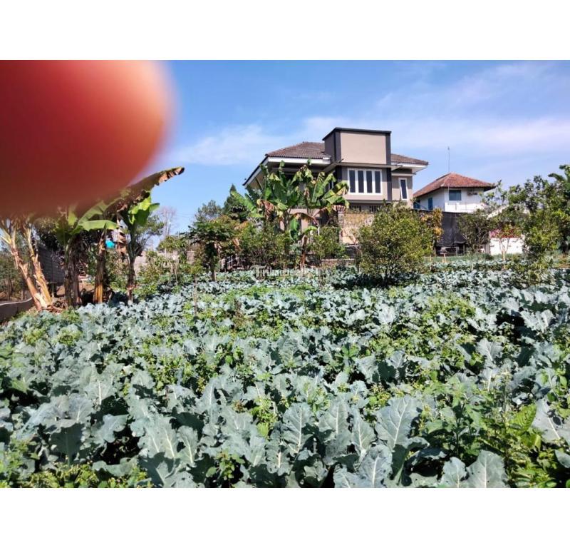 Dijual Villa LT2880 LB148 3KT 3KM Legalitas SHM Lokasi Strategis - Batu Jawa Timur